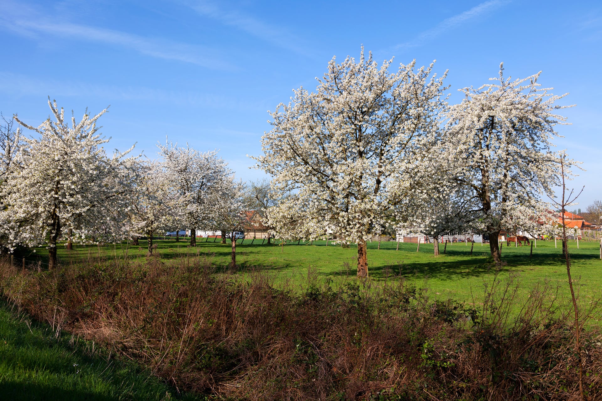 Environnement - Hotel twee broeders