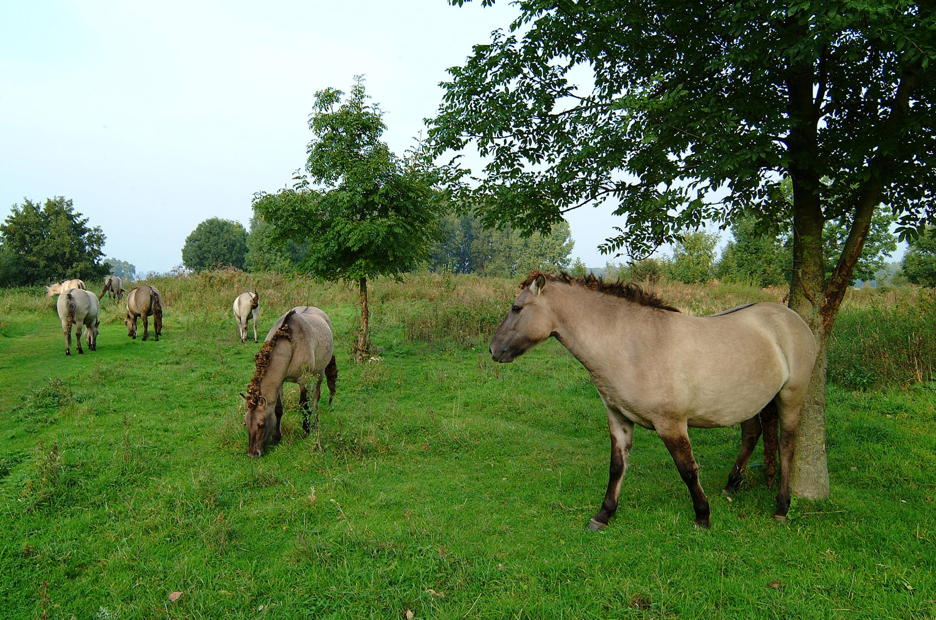 Environnement - Hotel twee broeders