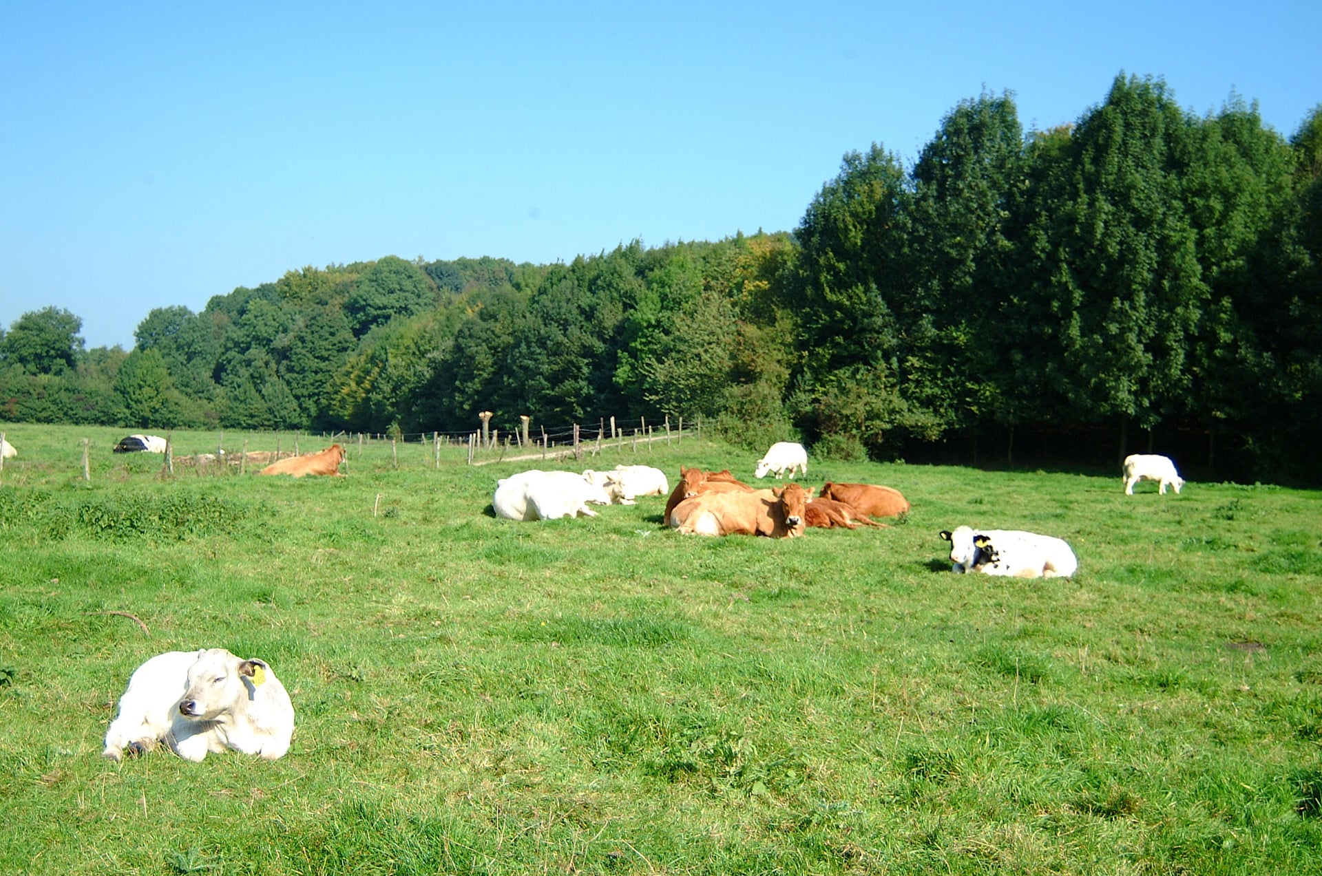 Environnement - Hotel twee broeders